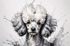 Abstract Art Illustration of a Poodle's Face with Curly Fur