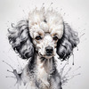Abstract Art Illustration of a Poodle's Face with Curly Fur
