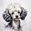 Abstract Art Illustration of a Poodle's Face with Curly Fur
