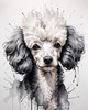 Abstract Art Illustration of a Poodle's Face with Curly Fur