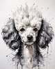 Abstract Art Illustration of a Poodle's Face with Curly Fur