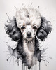 Abstract Art Illustration of a Poodle's Face with Curly Fur