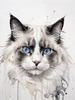 Sketchy Abstract Art of Ragdoll Cat's Face with Fluffy Fur