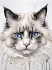Sketchy Abstract Art of Ragdoll Cat's Face with Fluffy Fur