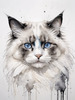 Sketchy Abstract Art of Ragdoll Cat's Face with Fluffy Fur