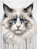 Sketchy Abstract Art of Ragdoll Cat's Face with Fluffy Fur