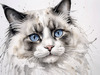 Sketchy Abstract Art of Ragdoll Cat's Face with Fluffy Fur