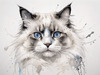 Sketchy Abstract Art of Ragdoll Cat's Face with Fluffy Fur