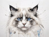 Sketchy Abstract Art of Ragdoll Cat's Face with Fluffy Fur