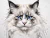 Sketchy Abstract Art of Ragdoll Cat's Face with Fluffy Fur