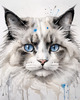 Sketchy Abstract Art of Ragdoll Cat's Face with Fluffy Fur