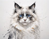 Sketchy Abstract Art of Ragdoll Cat's Face with Fluffy Fur