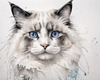 Sketchy Abstract Art of Ragdoll Cat's Face with Fluffy Fur