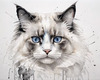 Sketchy Abstract Art of Ragdoll Cat's Face with Fluffy Fur