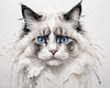 Sketchy Abstract Art of Ragdoll Cat's Face with Fluffy Fur