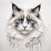 Sketchy Abstract Art of Ragdoll Cat's Face with Fluffy Fur