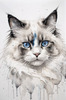 Sketchy Abstract Art of Ragdoll Cat's Face with Fluffy Fur