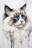 Sketchy Abstract Art of Ragdoll Cat's Face with Fluffy Fur