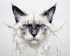 Sketchy Illustration of White Siamese Cat with Striking Eyes