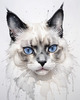 Sketchy Illustration of White Siamese Cat with Striking Eyes
