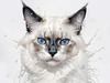 Sketchy Illustration of White Siamese Cat with Striking Eyes