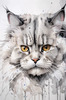 Abstract Fluffy Siberian Cat Sketch Art Print