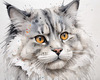 Abstract Fluffy Siberian Cat Sketch Art Print