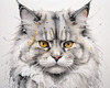 Abstract Fluffy Siberian Cat Sketch Art Print