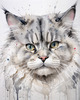 Abstract Fluffy Siberian Cat Sketch Art Print