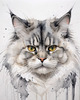 Abstract Fluffy Siberian Cat Sketch Art Print