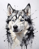 Abstract Art of Siberian Husky Face with Piercing Eyes and Fluffy Coat