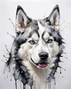 Abstract Art of Siberian Husky Face with Piercing Eyes and Fluffy Coat