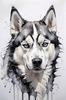 Abstract Art of Siberian Husky Face with Piercing Eyes and Fluffy Coat