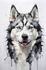 Abstract Art of Siberian Husky Face with Piercing Eyes and Fluffy Coat