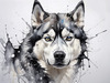 Abstract Art of Siberian Husky Face with Piercing Eyes and Fluffy Coat