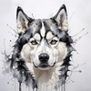 Abstract Art of Siberian Husky Face with Piercing Eyes and Fluffy Coat