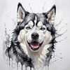 Abstract Art of Siberian Husky Face with Piercing Eyes and Fluffy Coat