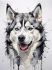 Abstract Art of Siberian Husky Face with Piercing Eyes and Fluffy Coat