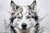 Abstract Art of Siberian Husky Face with Piercing Eyes and Fluffy Coat
