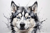 Abstract Art of Siberian Husky Face with Piercing Eyes and Fluffy Coat