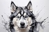Abstract Art of Siberian Husky Face with Piercing Eyes and Fluffy Coat