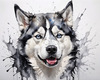 Abstract Art of Siberian Husky Face with Piercing Eyes and Fluffy Coat