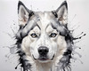 Abstract Art of Siberian Husky Face with Piercing Eyes and Fluffy Coat
