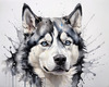 Abstract Art of Siberian Husky Face with Piercing Eyes and Fluffy Coat