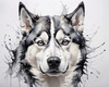Abstract Art of Siberian Husky Face with Piercing Eyes and Fluffy Coat