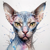 Abstract Sketch of Sphynx Cat Face with Expressive Eyes and Wrinkled Skin