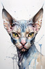 Abstract Sketch of Sphynx Cat Face with Expressive Eyes and Wrinkled Skin