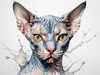 Abstract Sketch of Sphynx Cat Face with Expressive Eyes and Wrinkled Skin