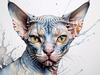 Abstract Sketch of Sphynx Cat Face with Expressive Eyes and Wrinkled Skin