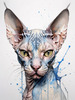 Abstract Sketch of Sphynx Cat Face with Expressive Eyes and Wrinkled Skin